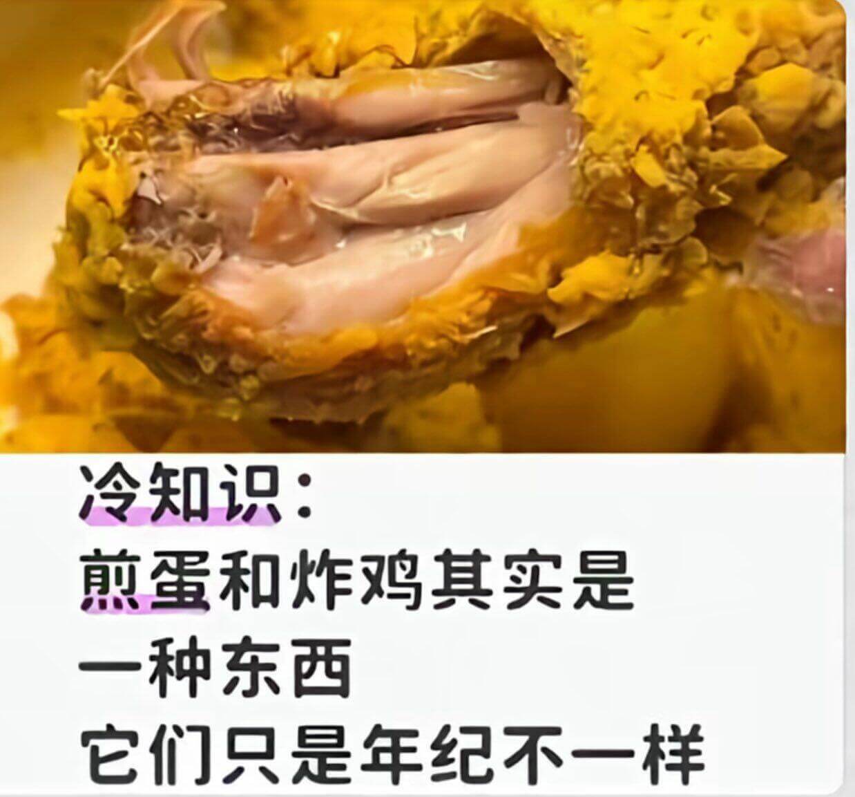 冷知识：煎蛋和炸鸡其实是一种东西它们只是年纪不一样