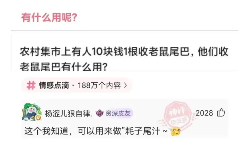 有什么用呢？农村集市上有人10块钱1根收老鼠尾巴，他们收老鼠
