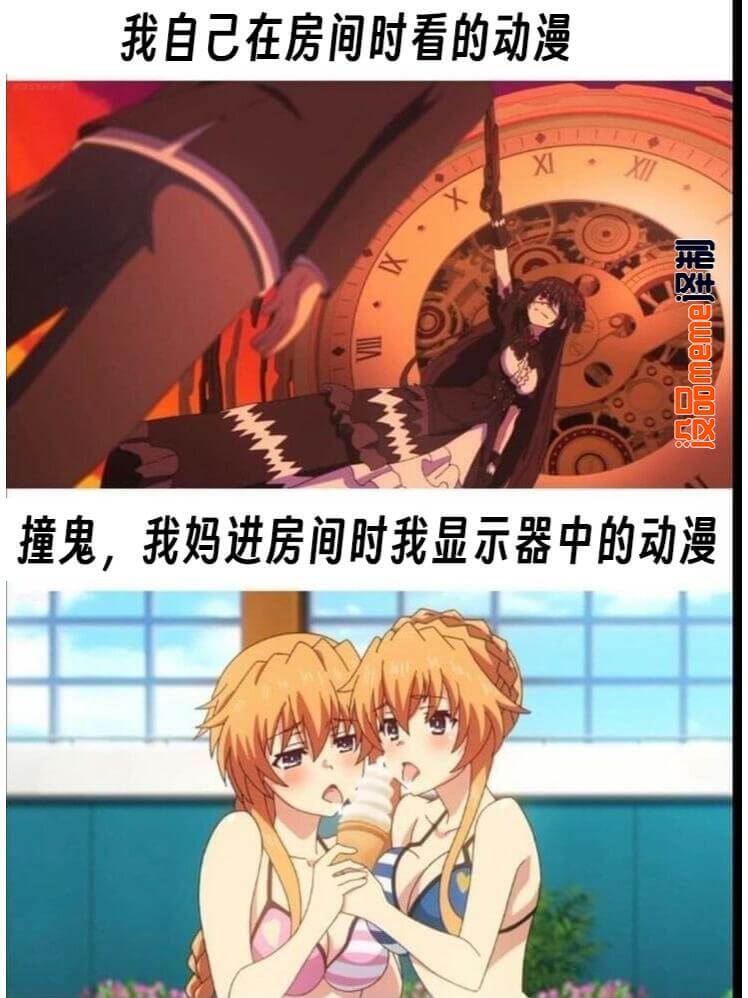 我自己在房间时看的动漫译制没品meme撞鬼，我妈进房间时我显