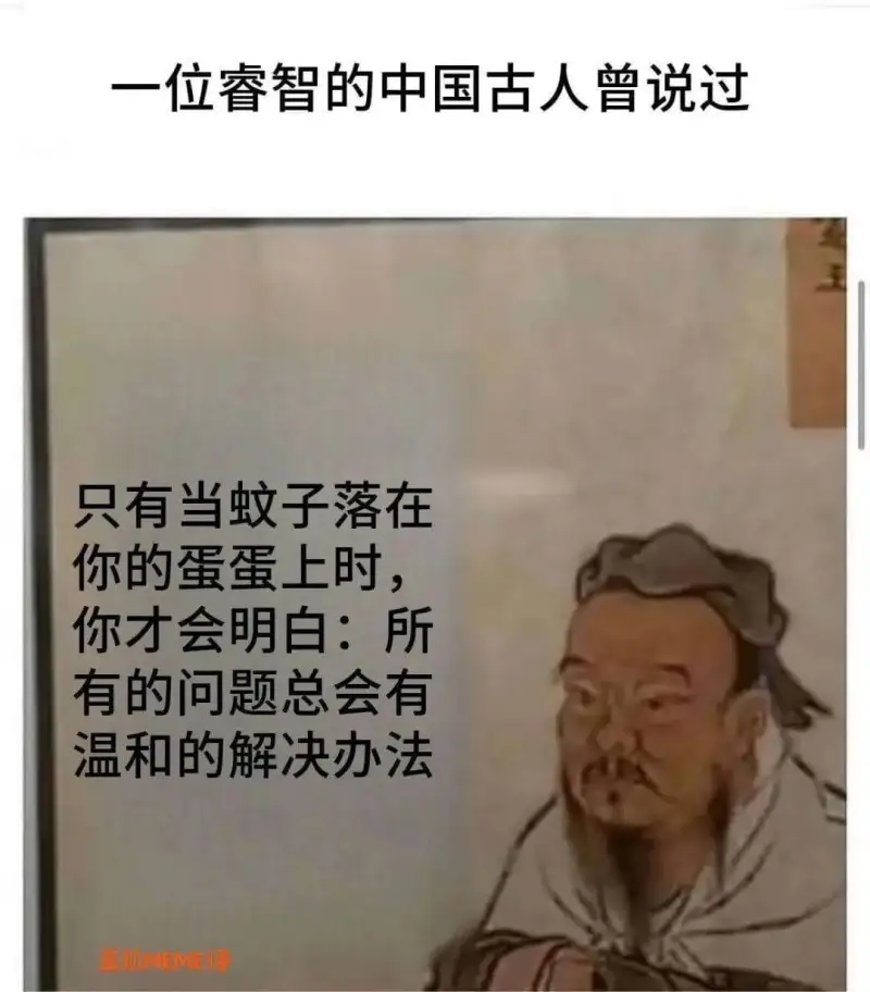 一位睿智的中国古人曾说过，只有当蚊子落在你的蛋蛋上时，你才会