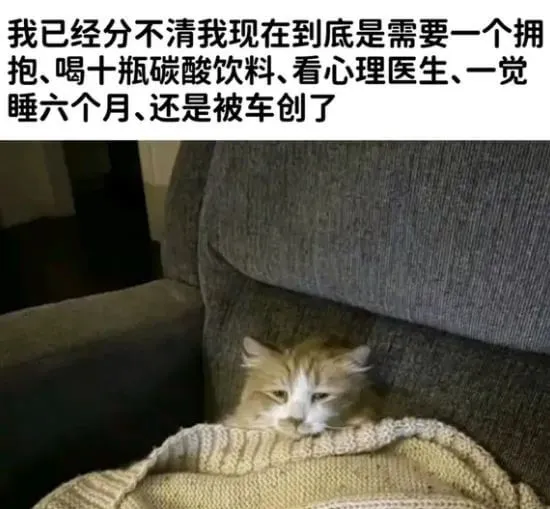 我已经分不清我现在到底是需要一个拥抱、喝十瓶碳酸饮料、看心理