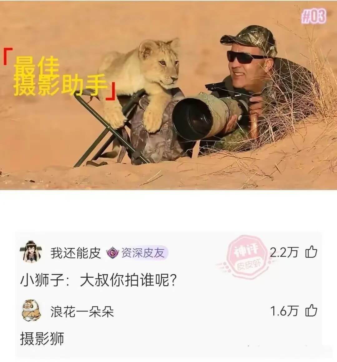 摄影助手我还能皮资深皮友小狮子:大叔你拍谁呢?浪花一朵朵2.
