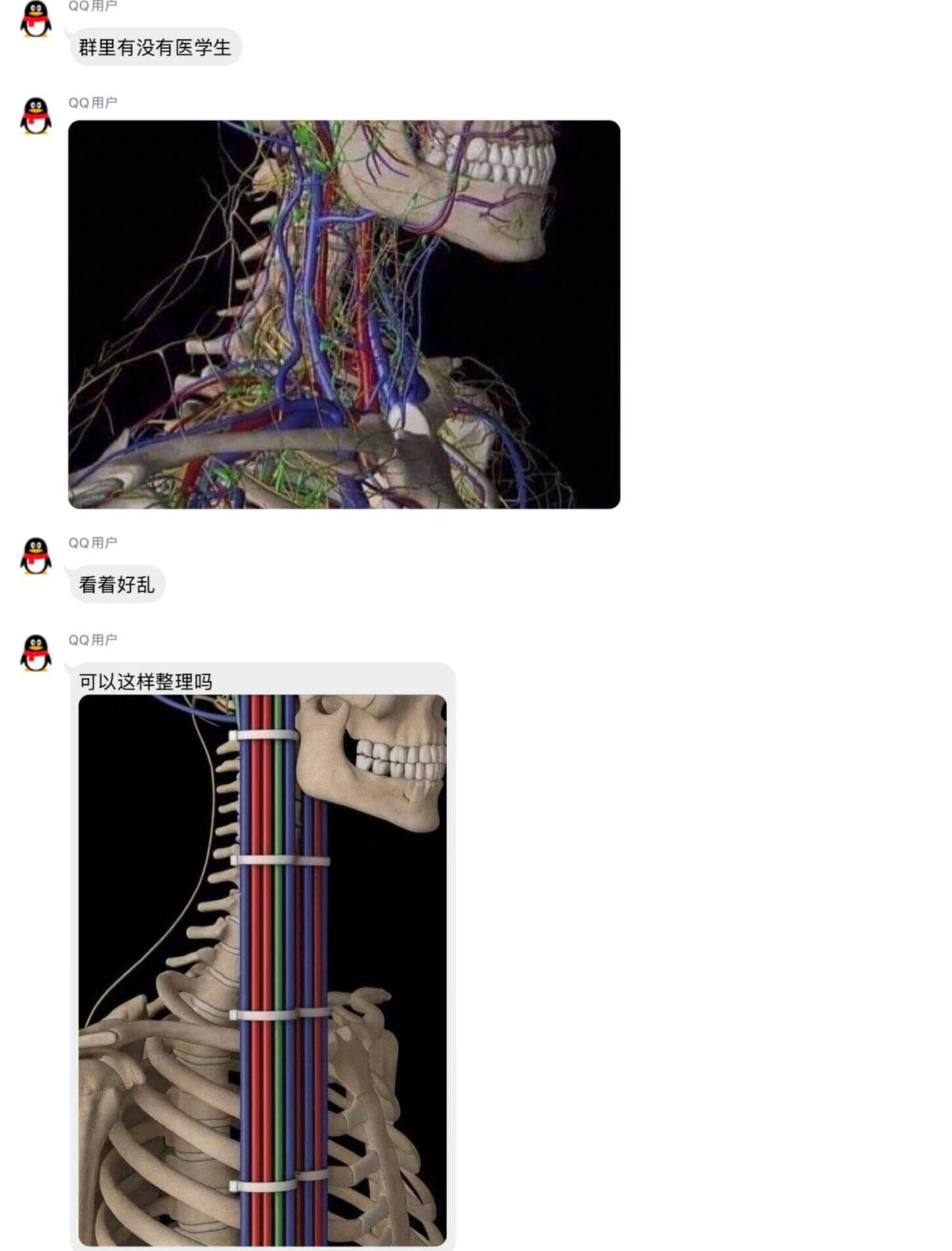 QQ用户群里有没有医学生QQ用户QQ用户看着好乱QQ用户可以