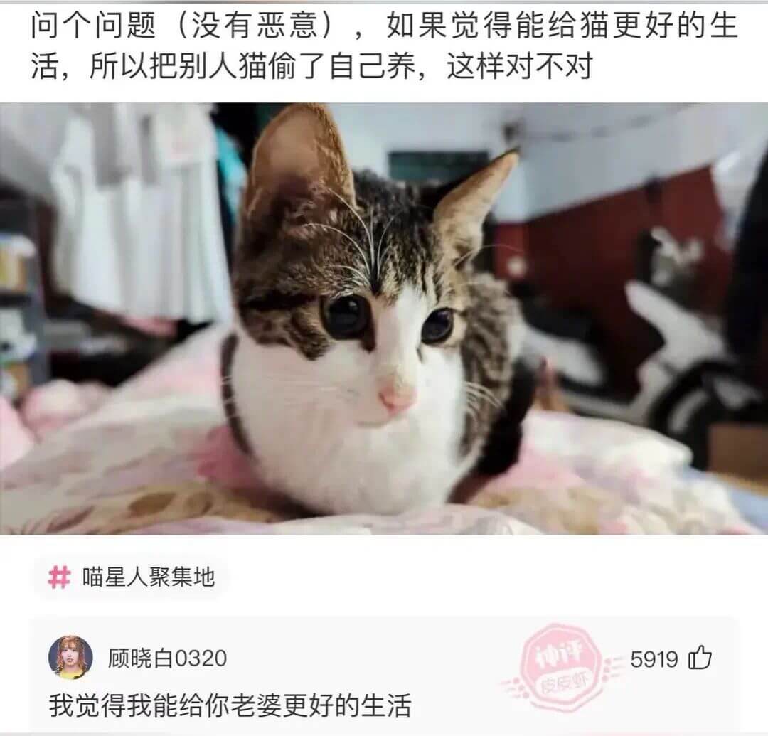 问个问题（没有恶意），如果觉得能给猫更好的生活，所以把别人猫