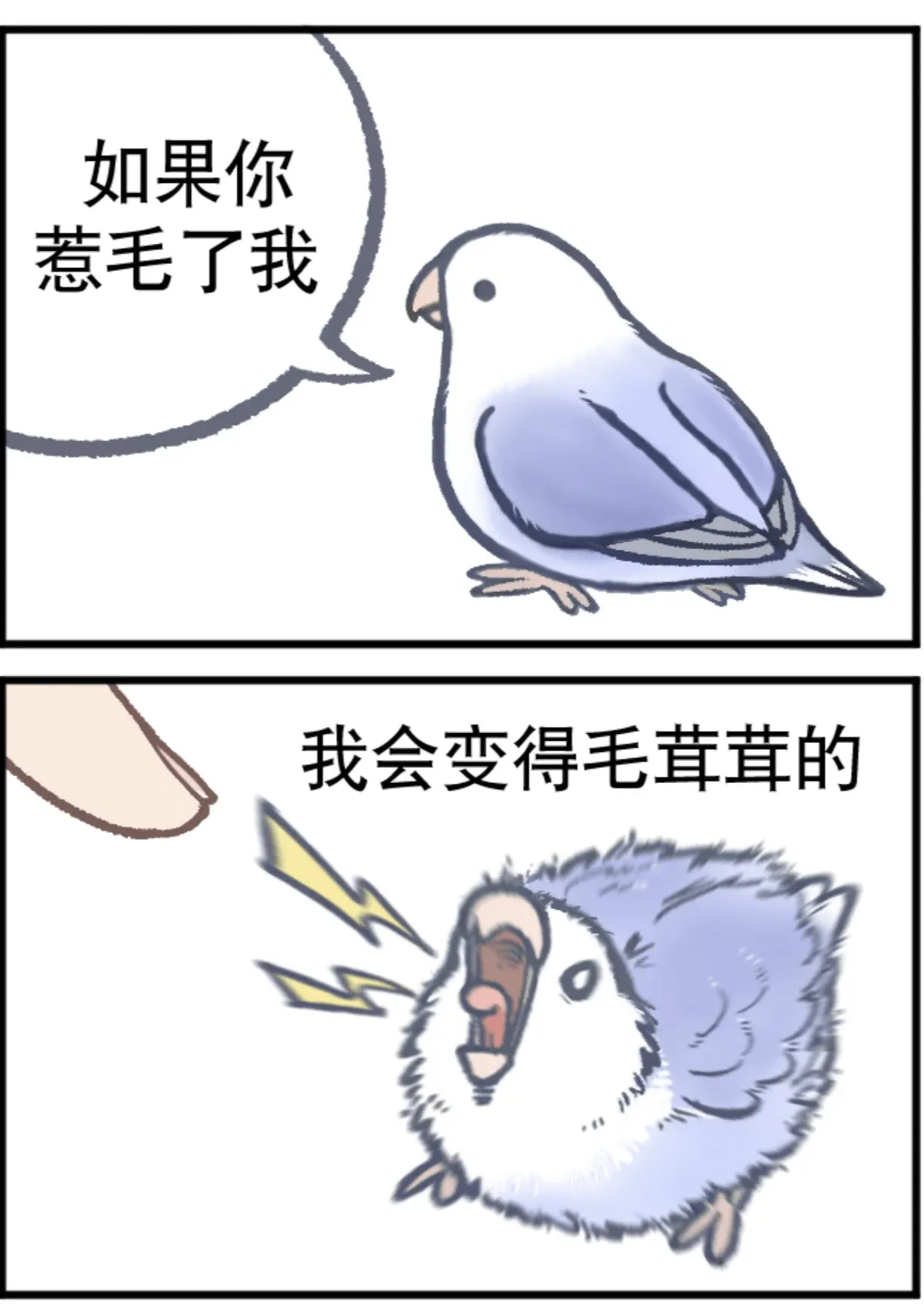如果你惹毛了我我会变得毛茸茸的