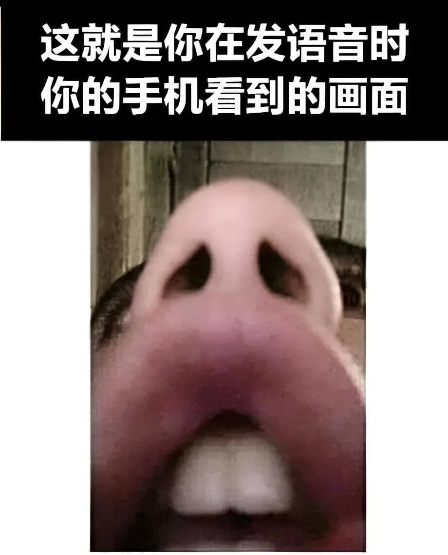 这就是你在发语音时你的手机看到的画面