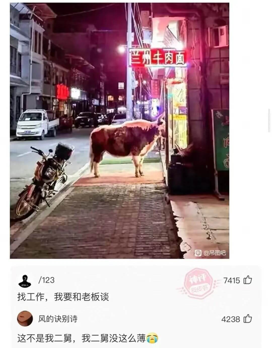 州牛肉面兰吊图吧/1237415找工作，我要和老板谈风的诀别