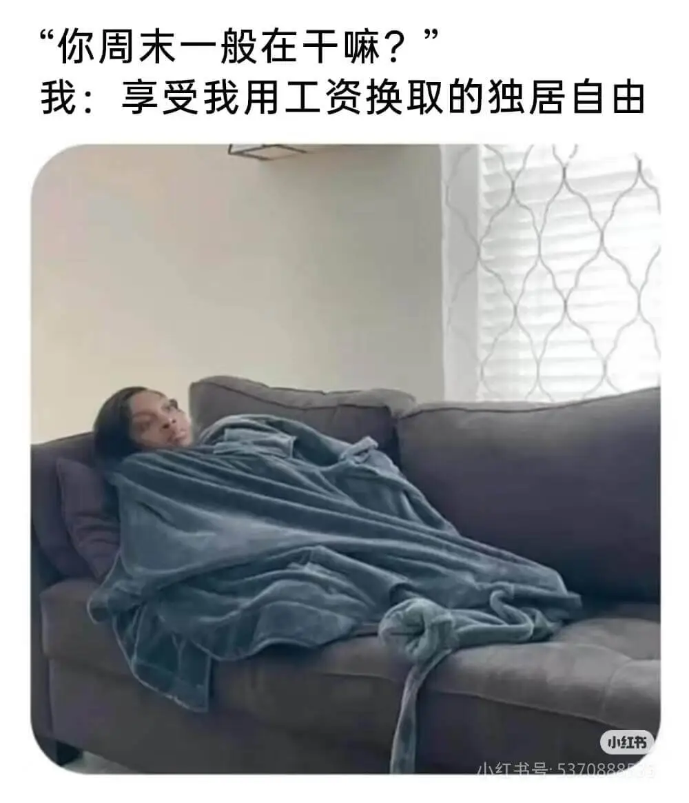 你周末一般在干嘛?我:享受我用工资换取的独居自由小红书小红书