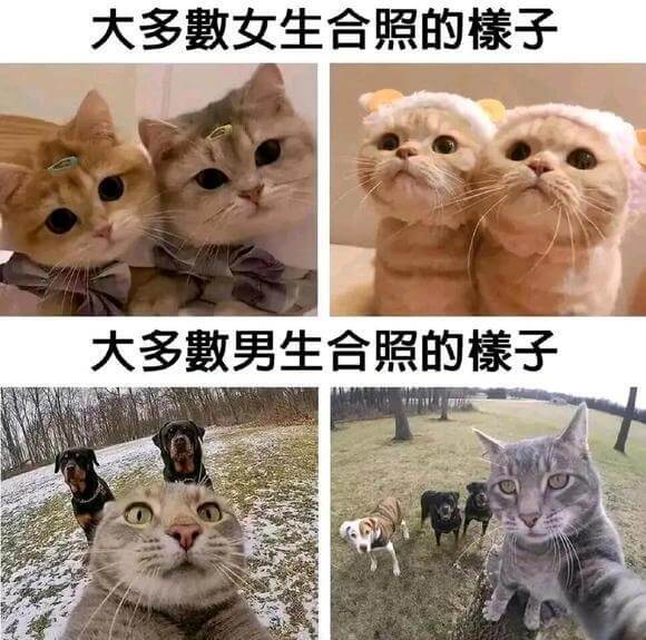 大多敷女生合照的萌子大多敷男生合照的萌子