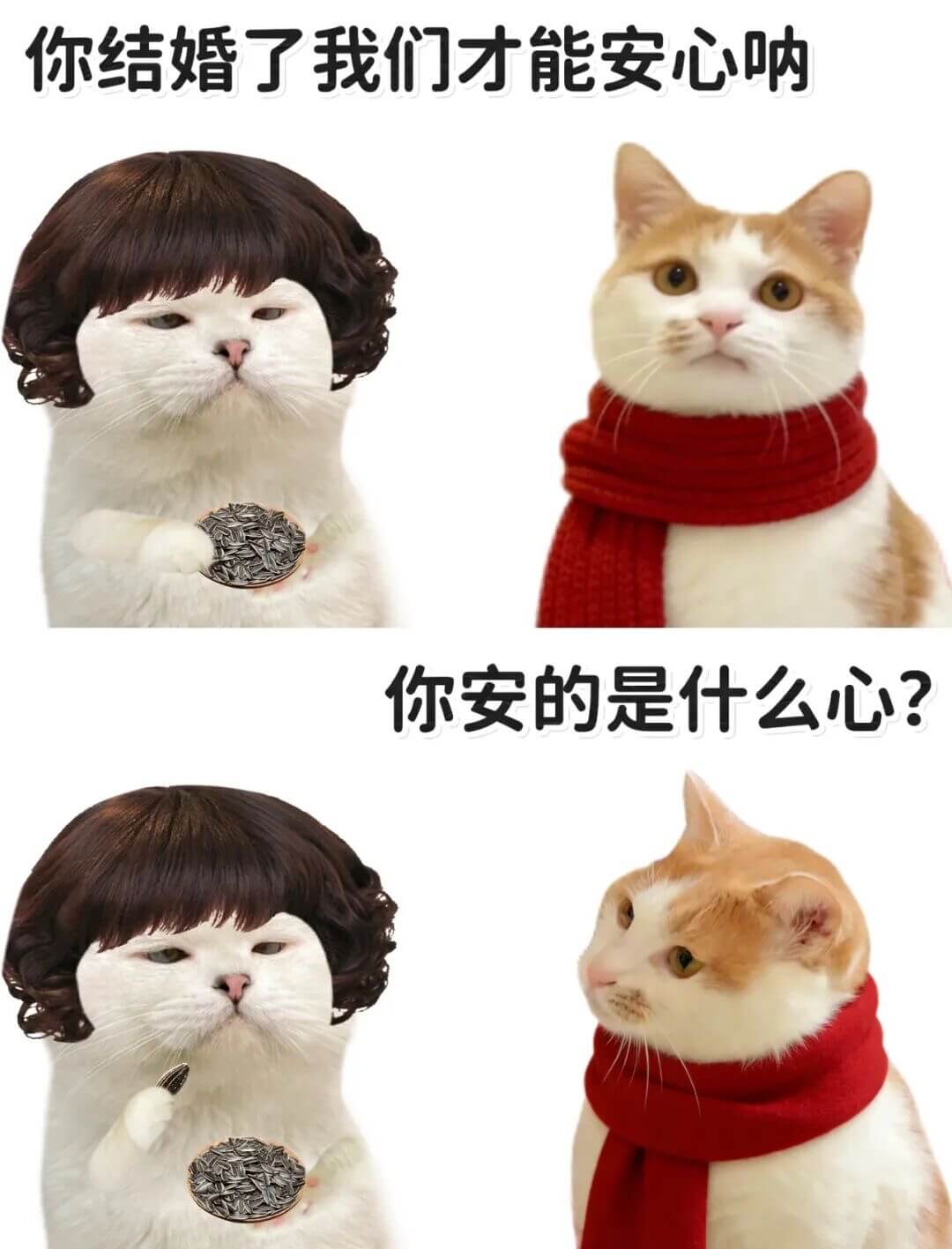 你结婚了，我们才能安心呐！你安的是什么心？