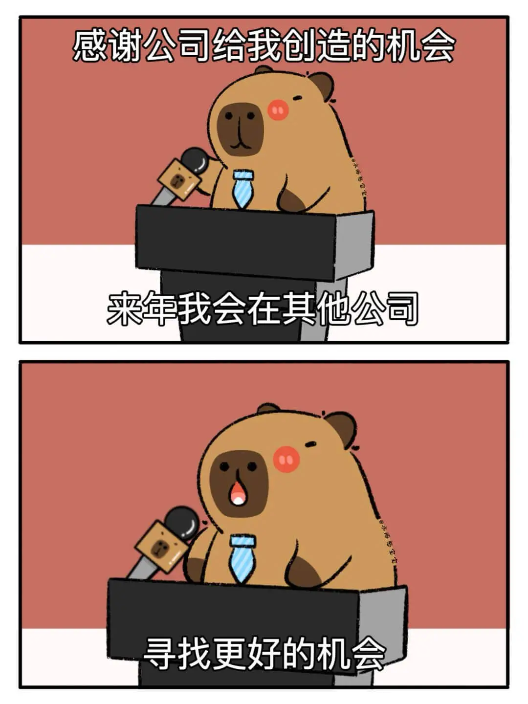 感谢公司给我创造的机会。来年我会在其他公司寻找更好的机会。