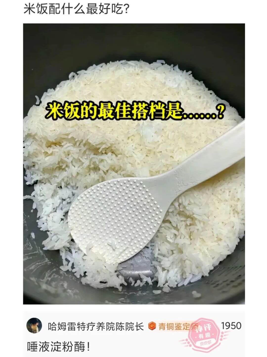 米饭配什么最好吃?米饭的最佳搭档是......?哈姆雷特疗养