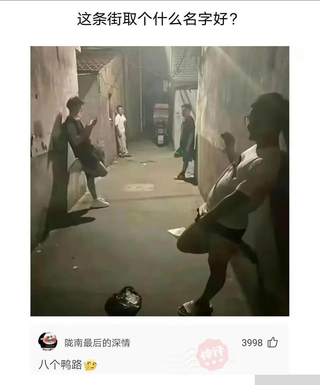 这条街取个什么名字好？陇南最后的深情3998D神评八个鸭路
