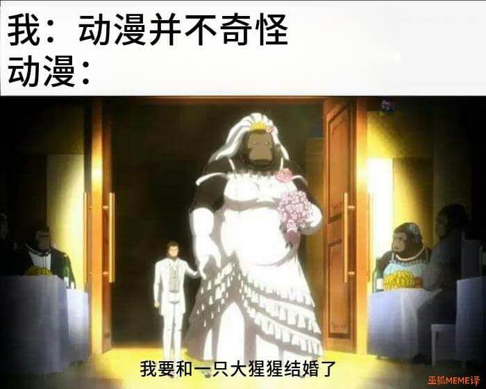 我：动漫并不奇怪动漫：我要和一只大猩猩结婚了巫狐MEME译
