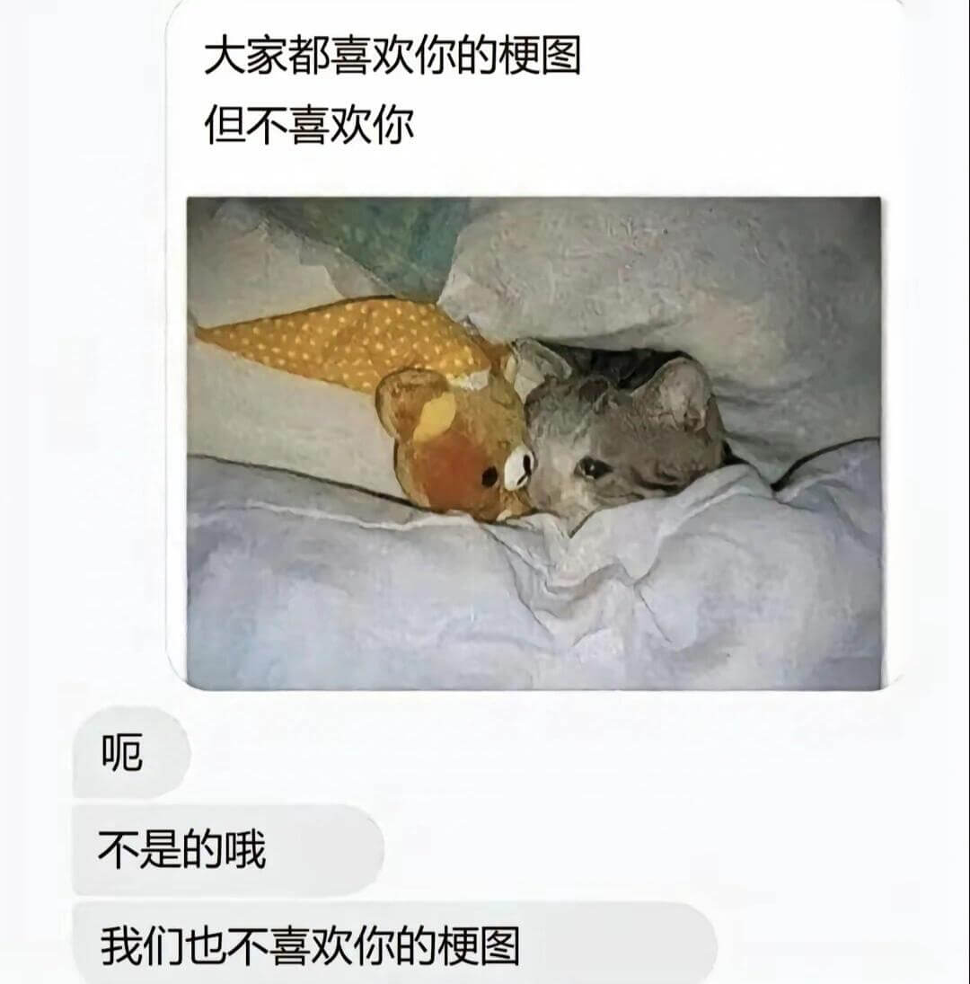 大家都喜欢你的梗图，但不喜欢你。不是的哦，我们也不喜欢你的梗