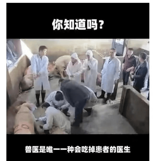 你知道吗？兽医是唯一一种会吃掉患者的医生。