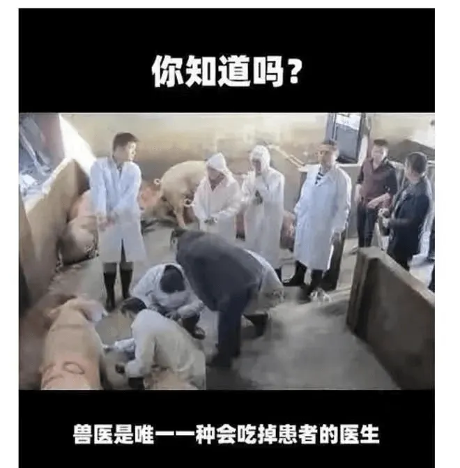 你知道吗？兽医是唯一一种会吃掉患者的医生。