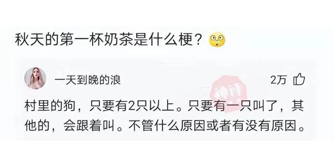 秋天的第一杯奶茶是什么梗?一天到晚的浪2万村里的狗，只要有2