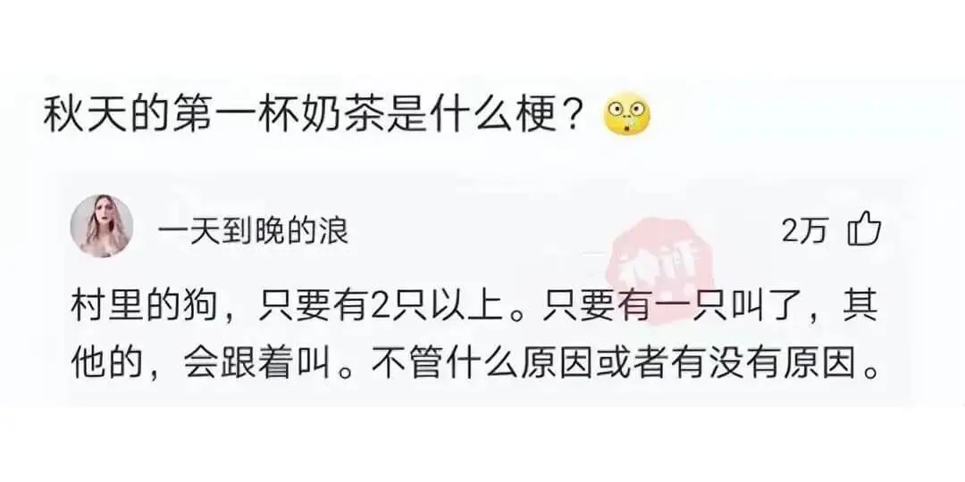 秋天的第一杯奶茶是什么梗?一天到晚的浪2万村里的狗，只要有2