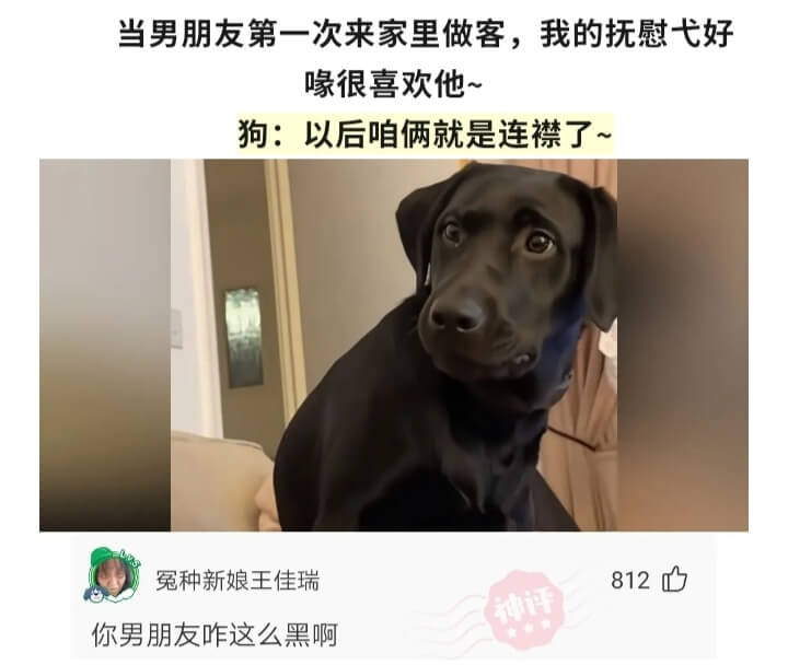 当男朋友第一次来家里做客，我的抚慰弋好喙很喜欢他~狗:以后咱