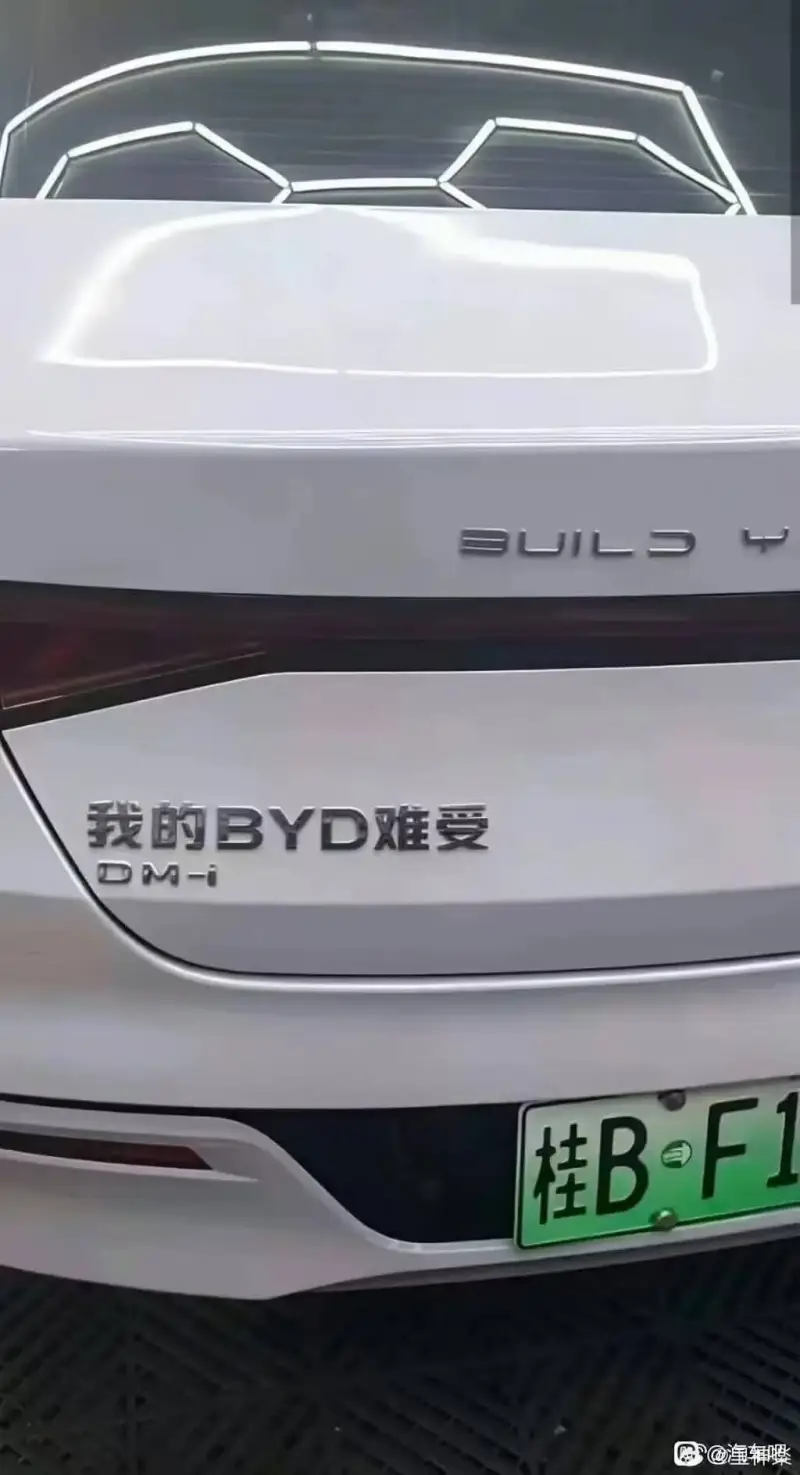 UILS我的BYD难受DM-i桂B-F1