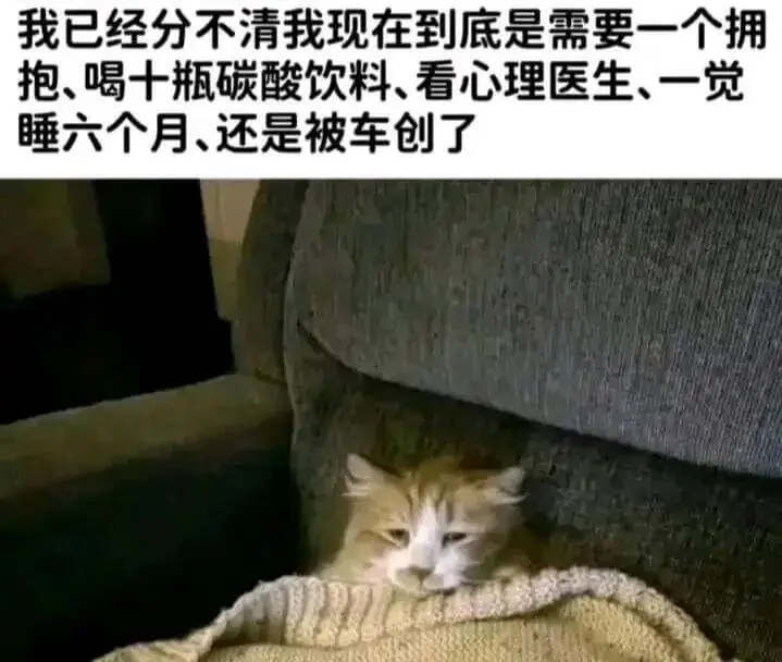 我已经分不清我现在到底是需要一个拥抱、喝十瓶碳酸饮料、看心理