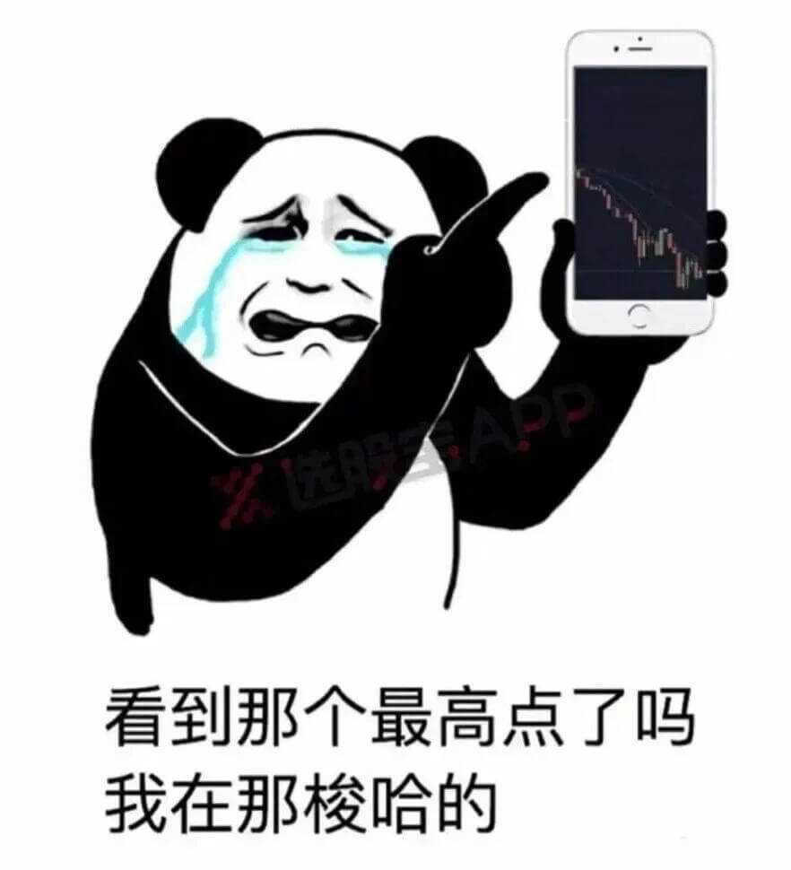 选股A看到那个最高点了吗我在那梭哈的