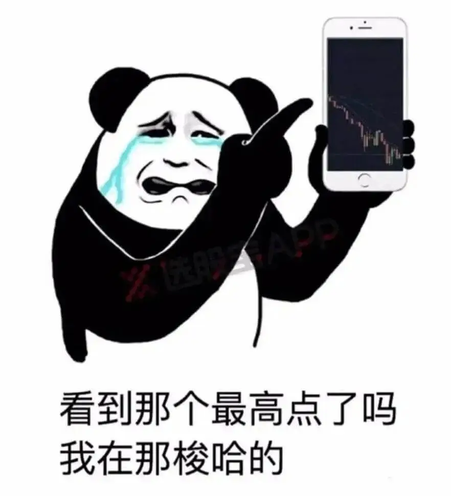 选股A看到那个最高点了吗我在那梭哈的