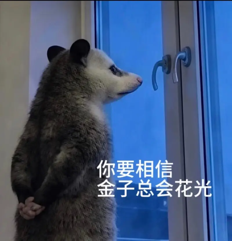 你要相信，金子总会花光。