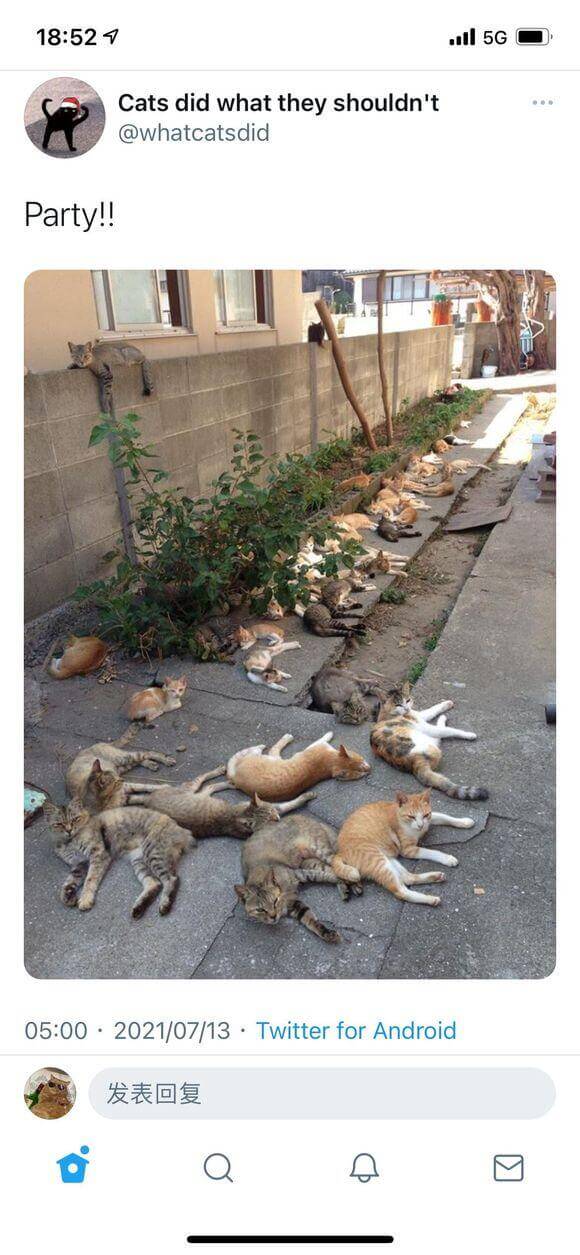 18:52Il5GCatsdidwhattheyshould