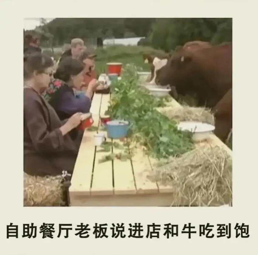 自助餐厅老板说进店和牛吃到饱