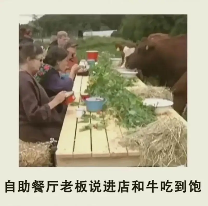 自助餐厅老板说进店和牛吃到饱