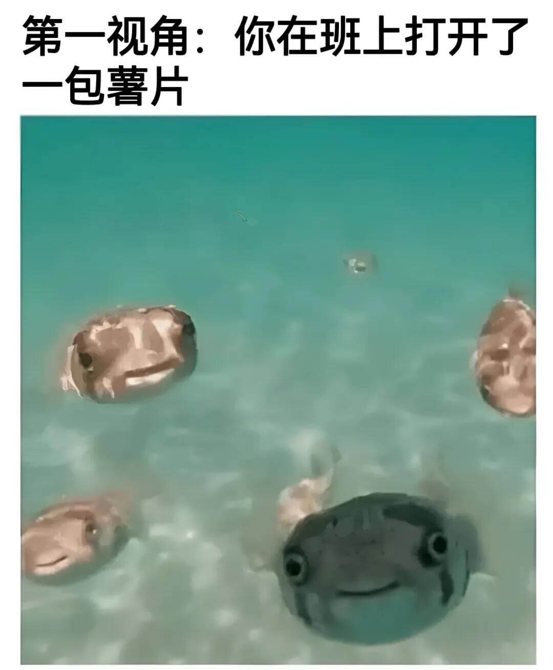 第一视角：你在班上打开了一包薯片