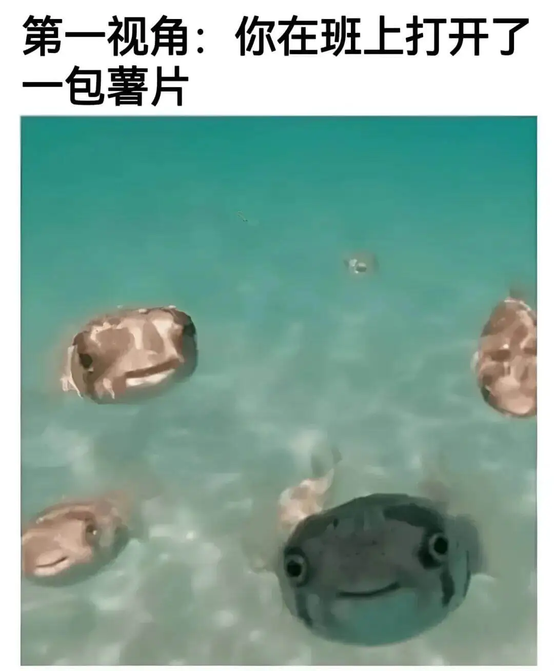 第一视角：你在班上打开了一包薯片