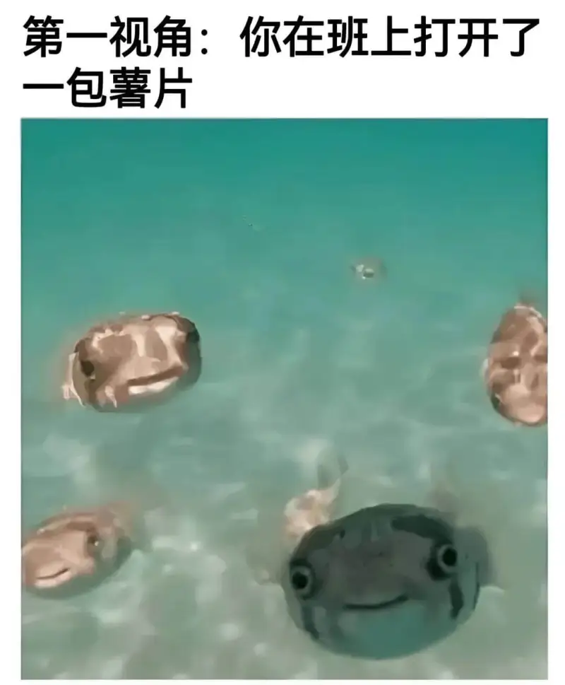 第一视角：你在班上打开了一包薯片