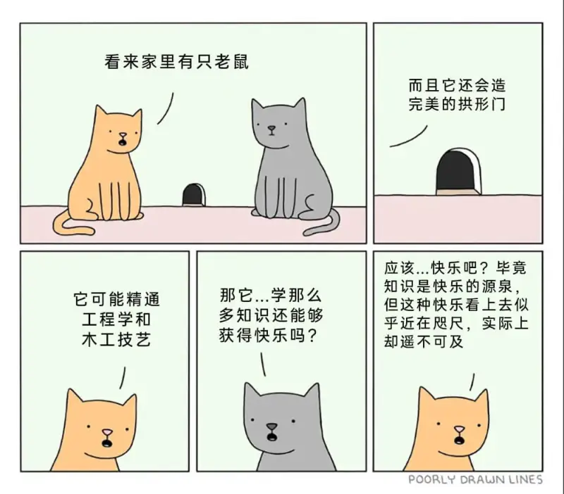 看来家里有只老鼠，而且它还会造完美的拱形门。应该...快乐吧