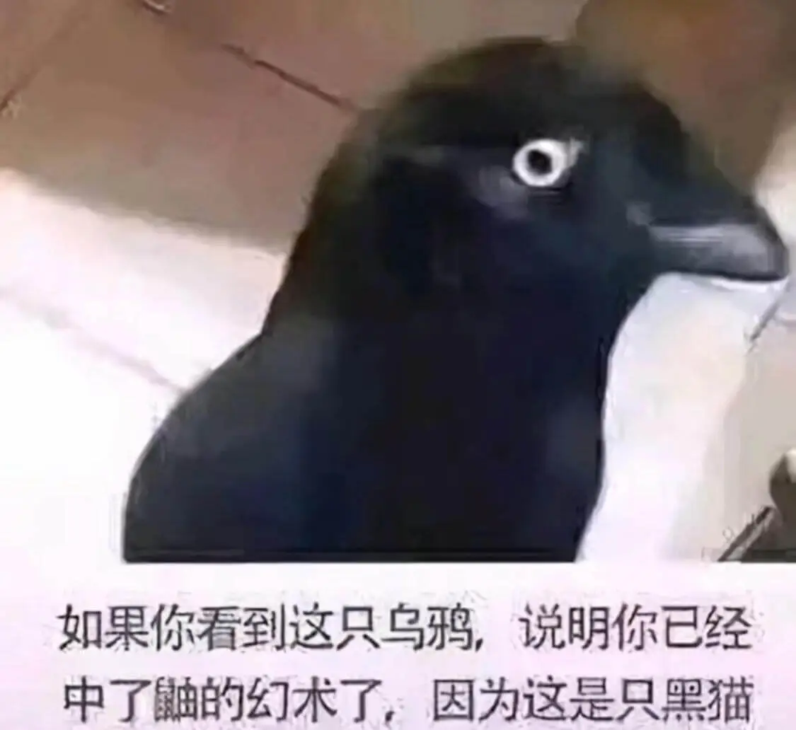 如果你看到这只乌鸦，说明你已经中了鼬的幻术了，因为这是只黑猫