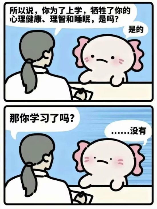 所以说，你为了上学，牺牲了你的心理健康、理智和睡眠，是吗？是