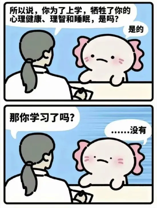 所以说，你为了上学，牺牲了你的心理健康、理智和睡眠，是吗？是
