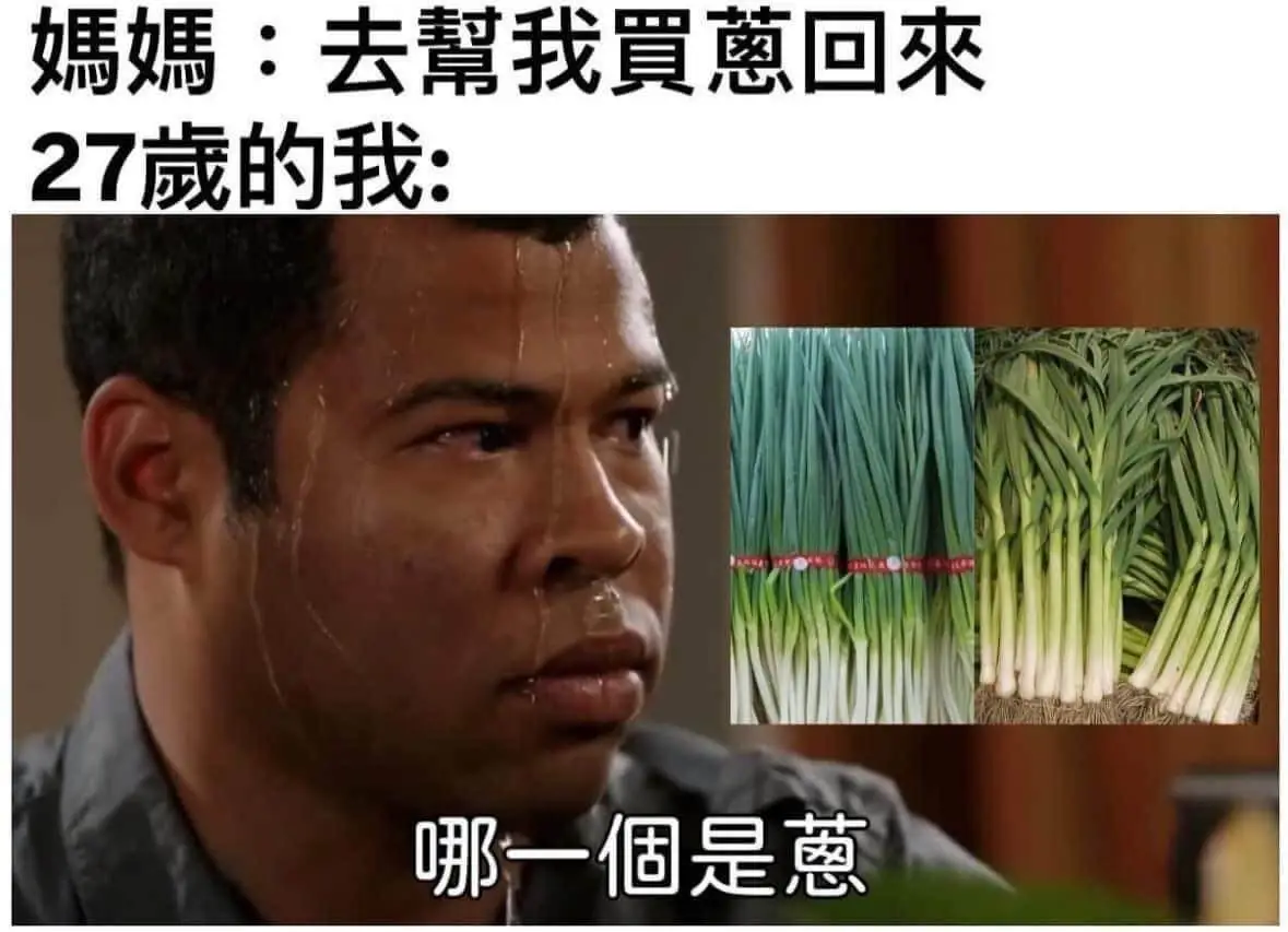 媽媽:去幫我買蔥回來27歲的我:哪一個是蔥