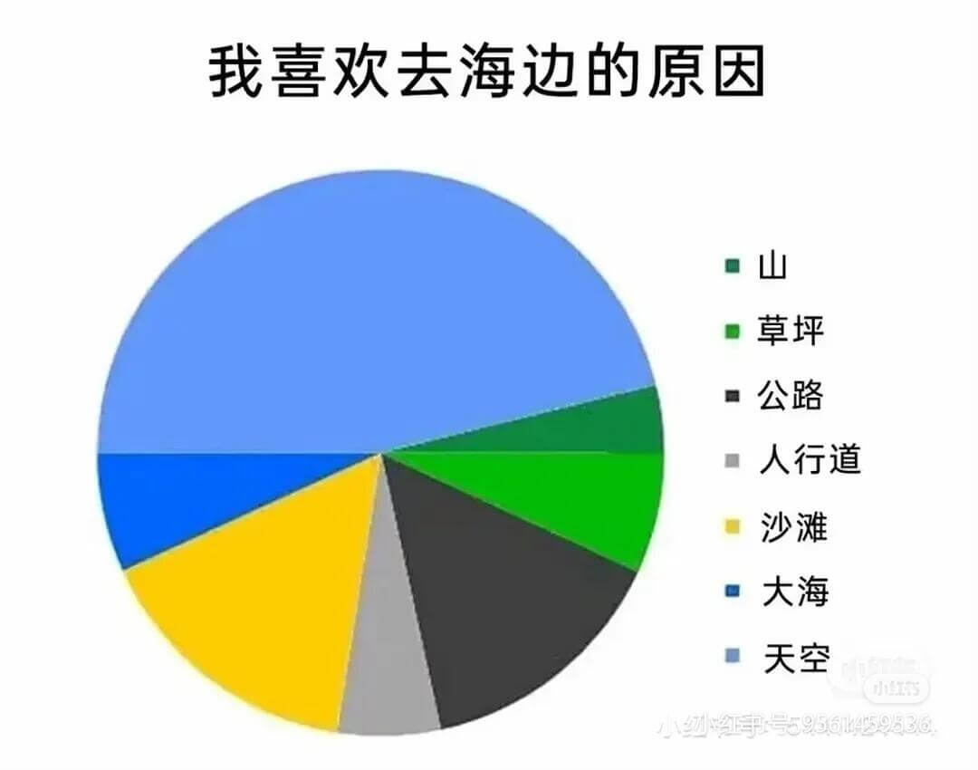 我喜欢去海边的原因草坪公路人行道沙滩大海天空小小纫红手号59