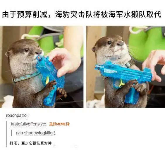 由于预算削减，海豹突击队将被海军水懒队取代roachpatr