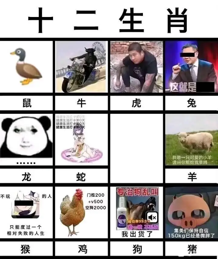 十二生肖鼠牛虎兔健康生活打卡第0天健康生活打卡第0天健康生活