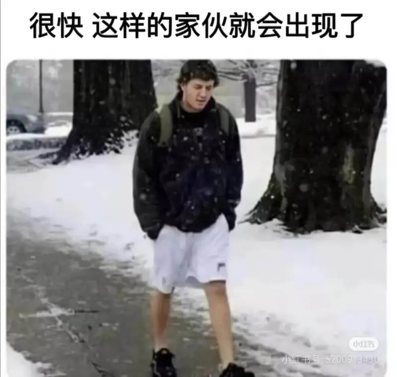 很快这样的家伙就会出现了。小红书小红书号:520091343
