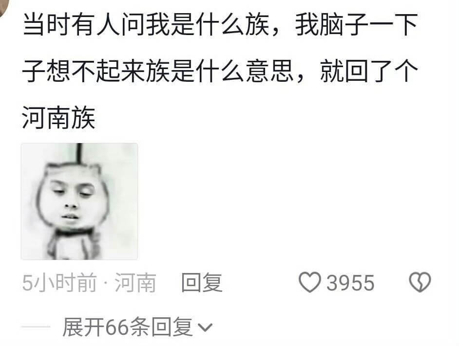 当时有人问我是什么族,我脑子一下子想不起来族是什么意思,就回