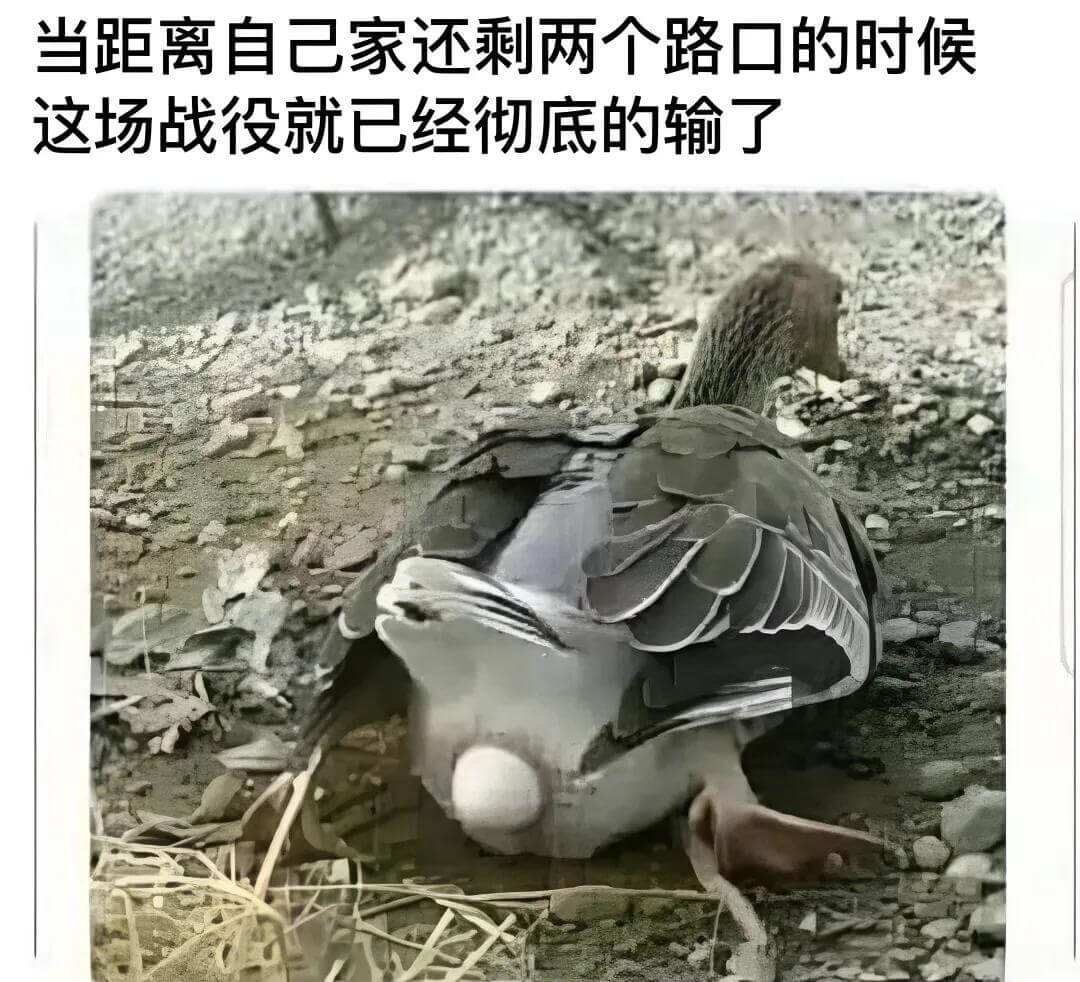 当距离自己家还剩两个路口的时候，这场战役就已经彻底的输了。