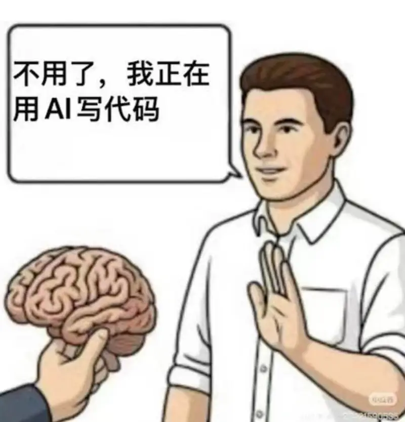 不用了，我正在用AI写代码