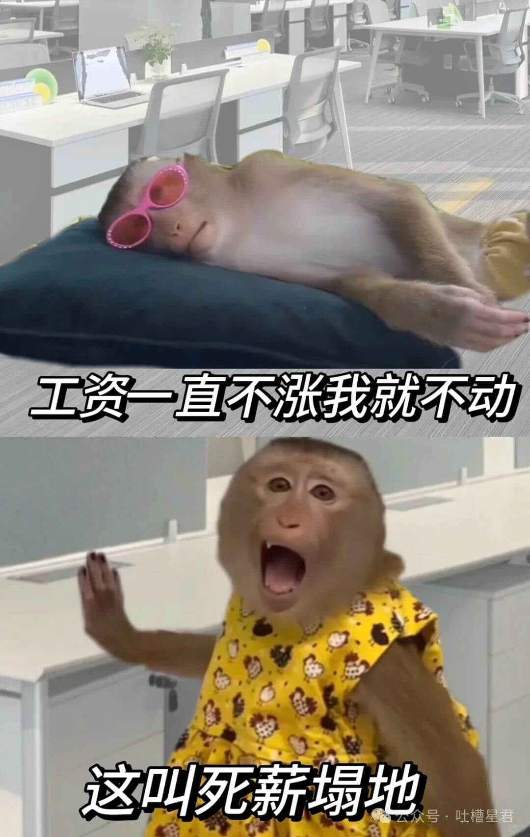 工资一直不涨我就不动这叫死薪塌地。