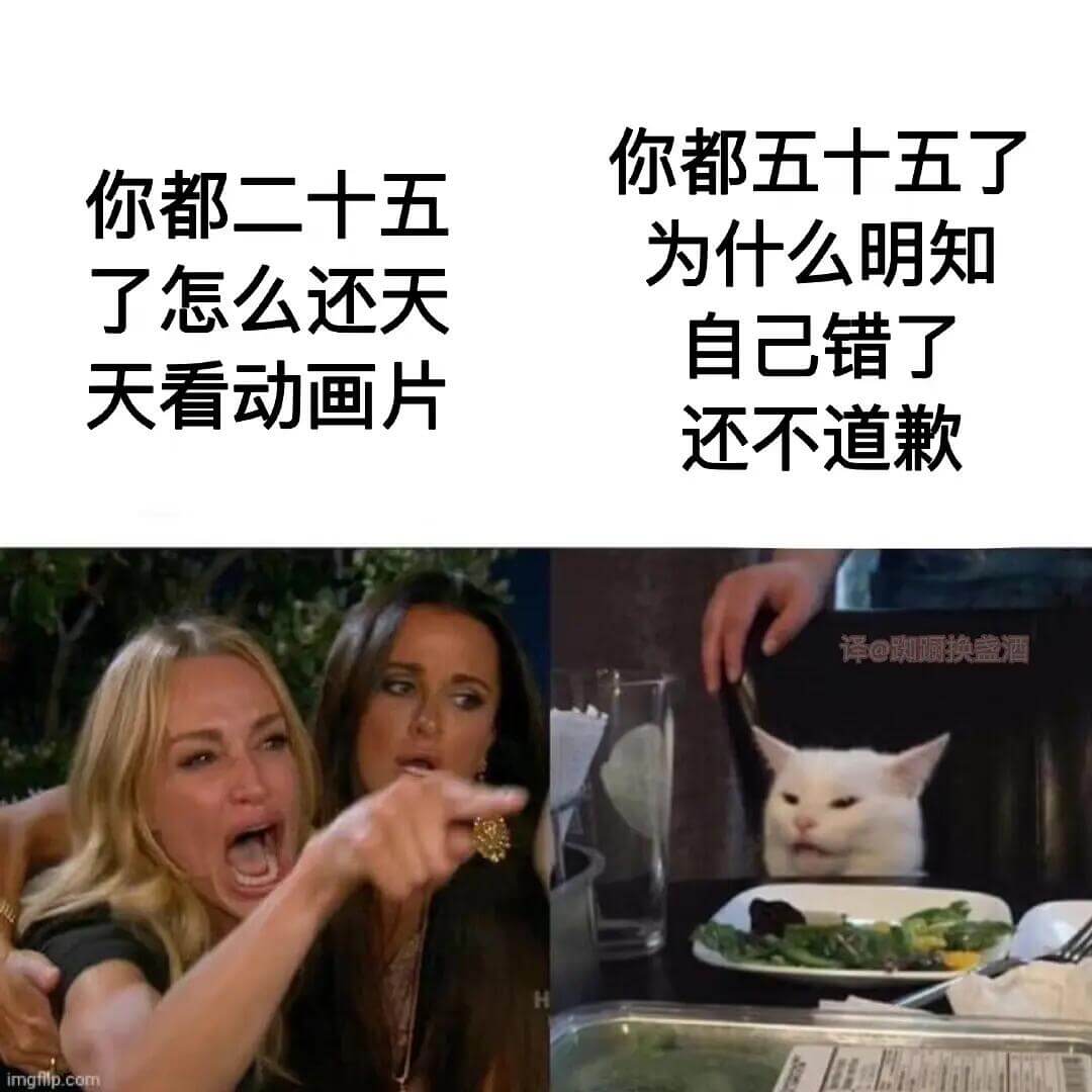 你都五十五了你都二十五为什么明知自己错了还天天看动画片还不知