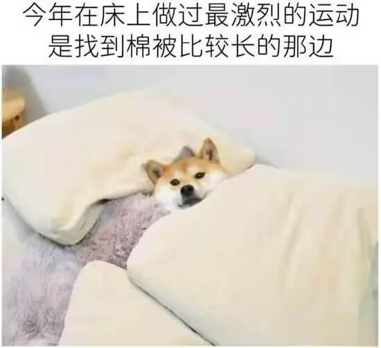 今年在床上做过最激烈的运动，是找到棉被比较长的那边。
